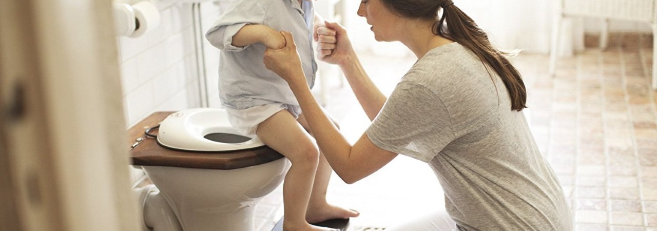 5 Best Potty Training Seats Feb 2020 Bestreviews