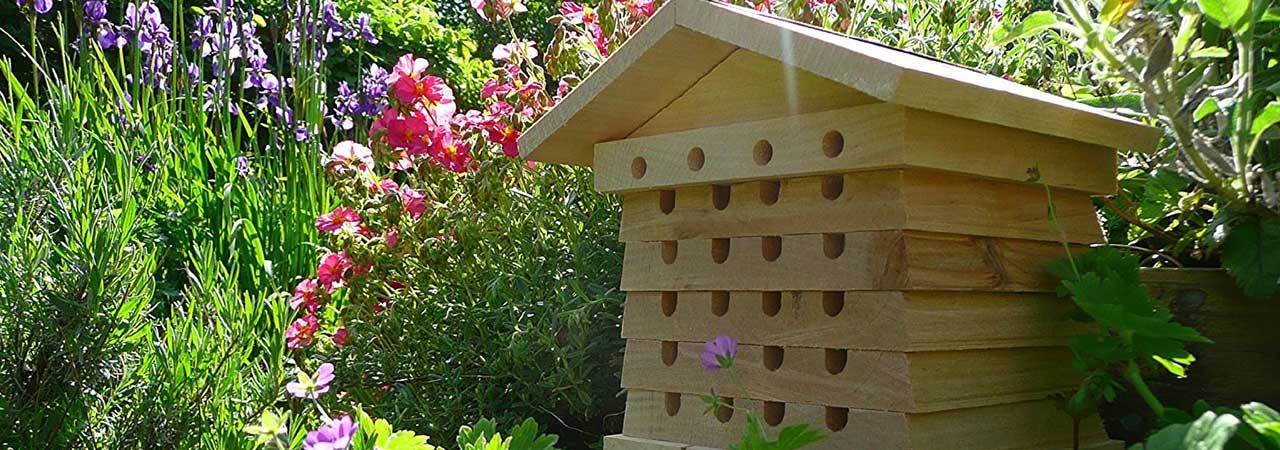 5 Best Beekeeping Kits Feb 2020 Bestreviews