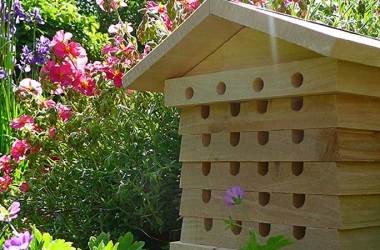 Beekeeping Kits