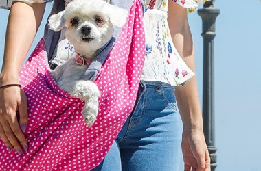Dog Carrier Slings