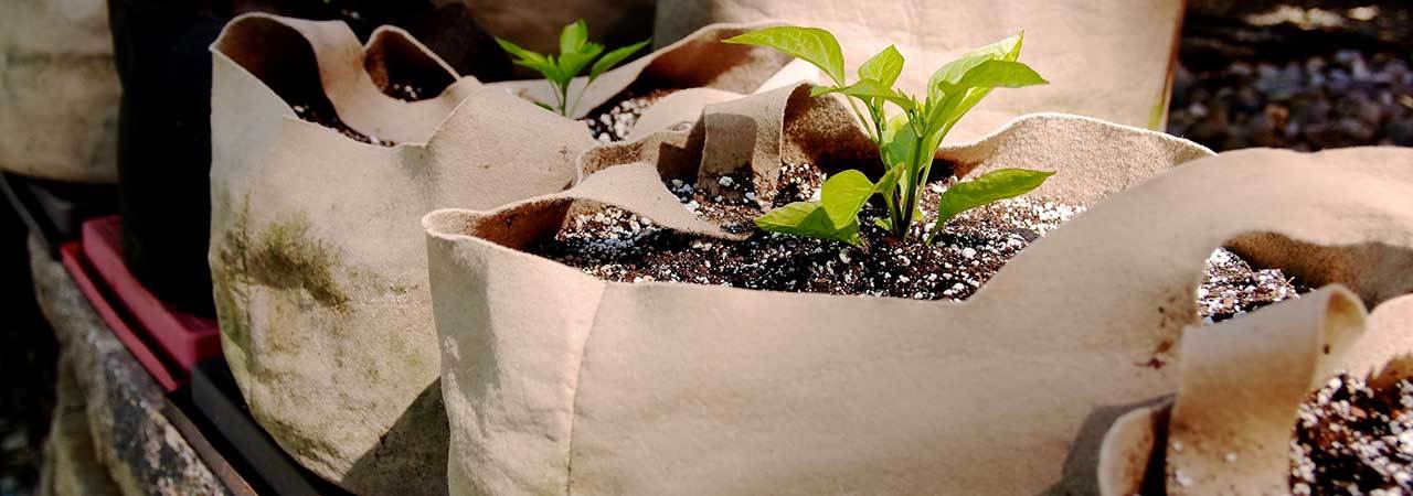 5 Best Grow Bags Nov 2019 Bestreviews 5 Best Grow Bags Nov 2019 Bestreviews