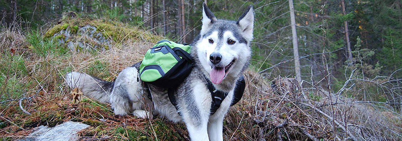 Pettom dog saddle backpack shops