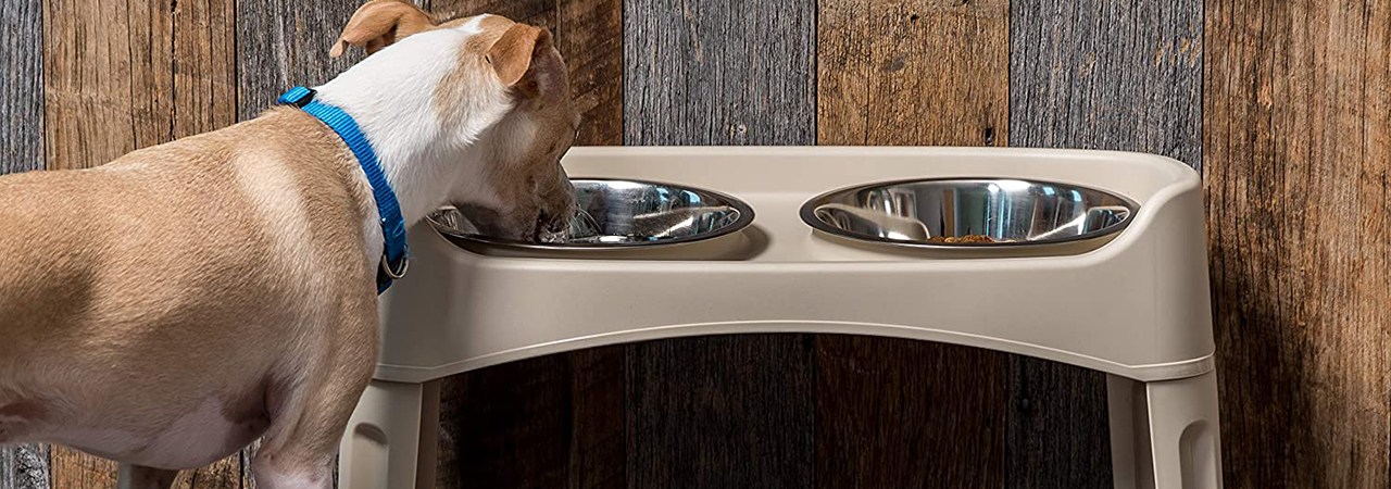 Dogit Elevated Dog Bowl, dog Food & Water Bowls