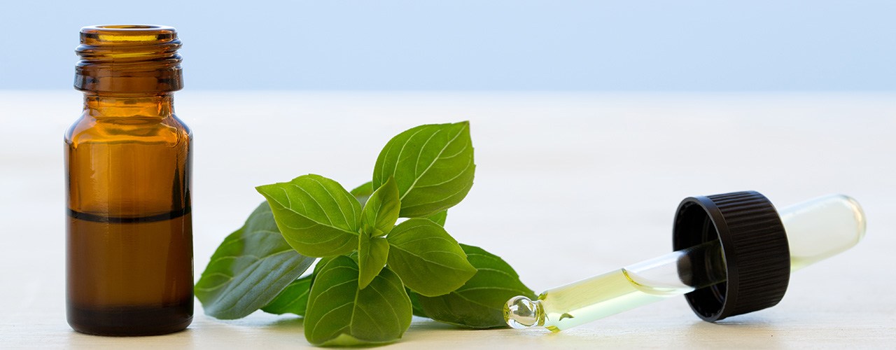 5 Best Basil Essential Oil