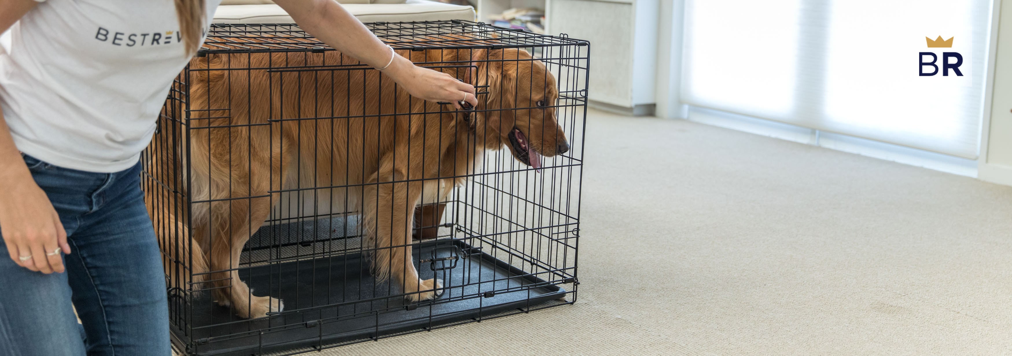 5 Best Dog Kennels Dec. 2023 BestReviews