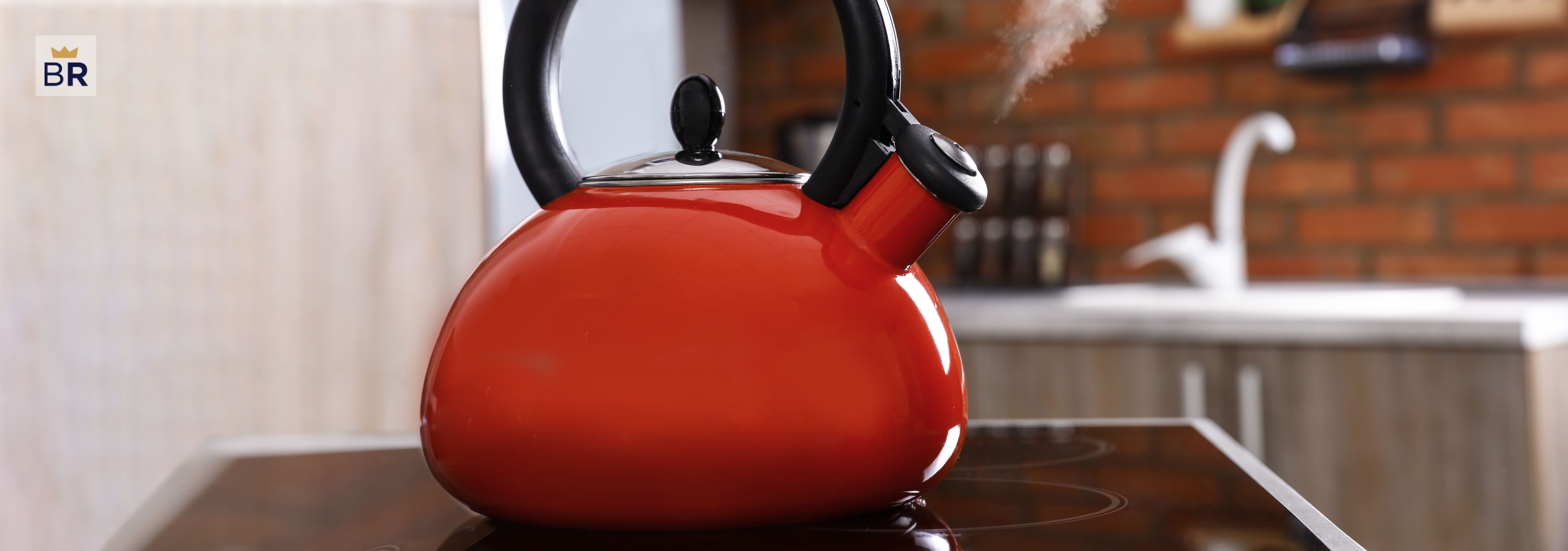 All-Clad E86199 Tea Kettle Overview - In The Kitchen