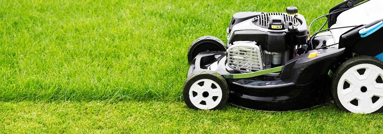 5 Best Lawn Mower Tires May 2020 Bestreviews