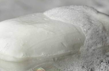 Bar Soaps for the Body