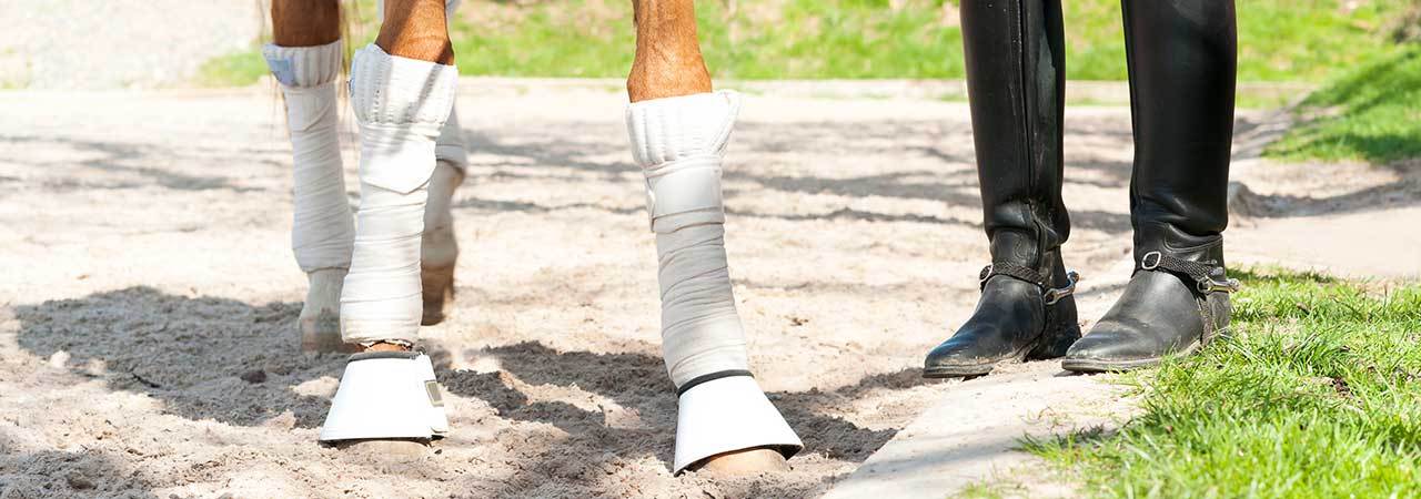 best support boots for horses