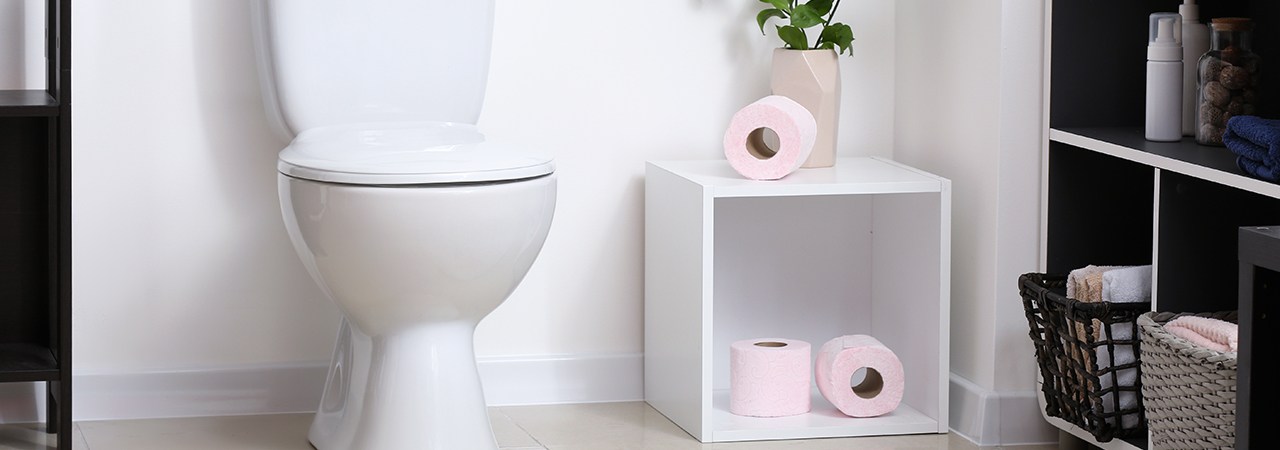 TreeLen Toilet Paper Holder Stand Bathroom Toilet Paper Storage Tissue Roll  Paper Reserve Holder for 3