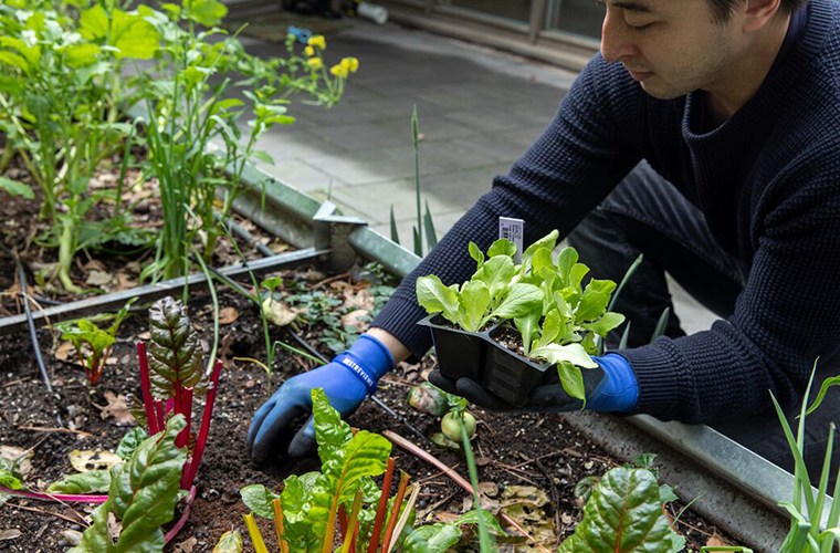 Best gifts for someone who loves gardening