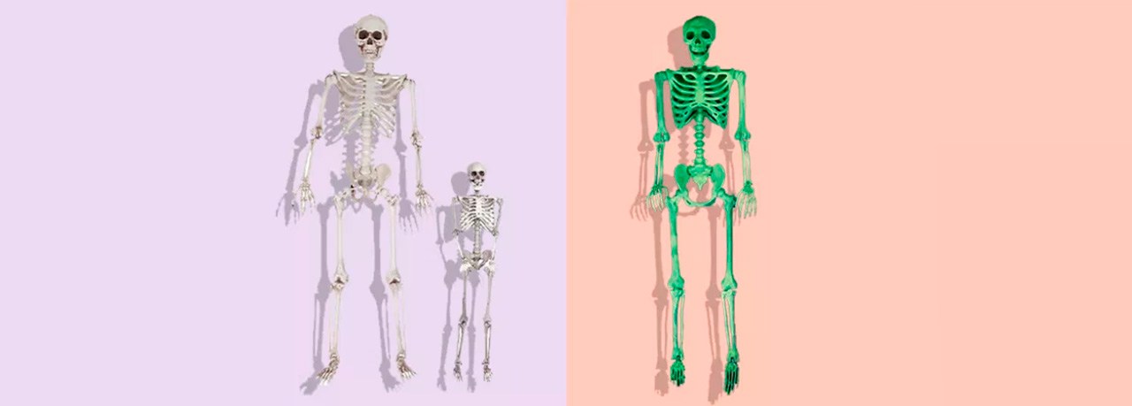 5-best-12-foot-skeletons-oct-2024-bestreviews