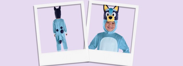 Best Bluey Costumes