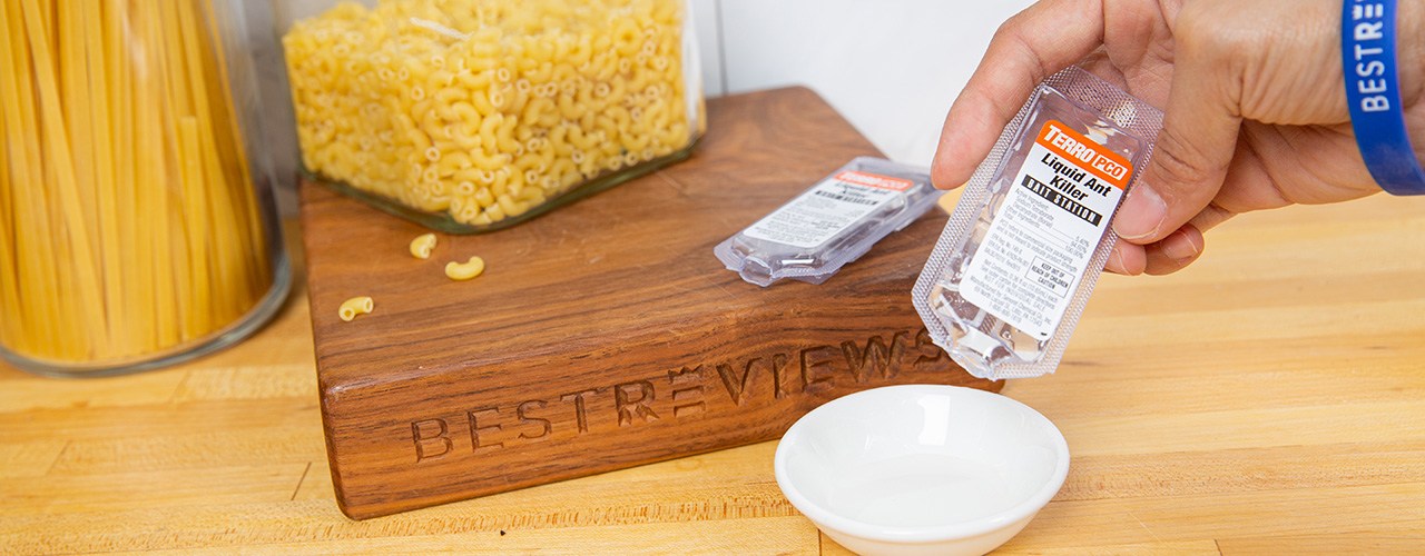 5 Best Liquid Ant Killer