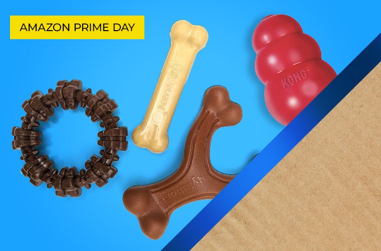 Best Prime Day deals for pet parents on Day 2
