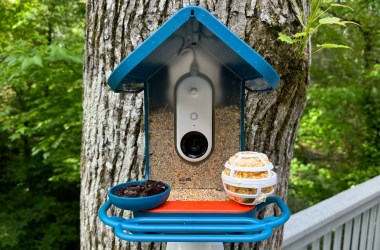 Smart Bird Feeders