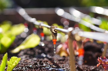 Drip Irrigation Kits