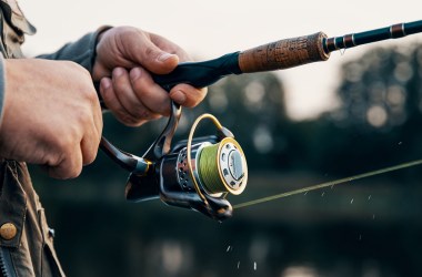 Fishing Reels