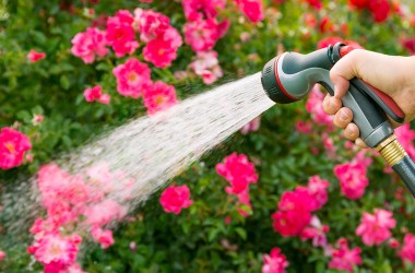 Garden Hoses