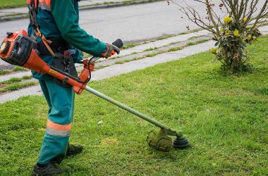 Gas Weed Eaters