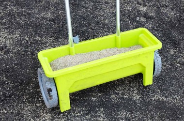 Grass Seeds