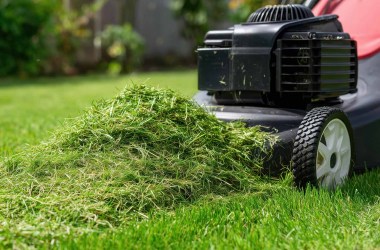 Honda Lawn Mowers