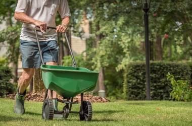 Pre-Emergent Herbicide