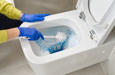 Toilet Bowl Cleaners