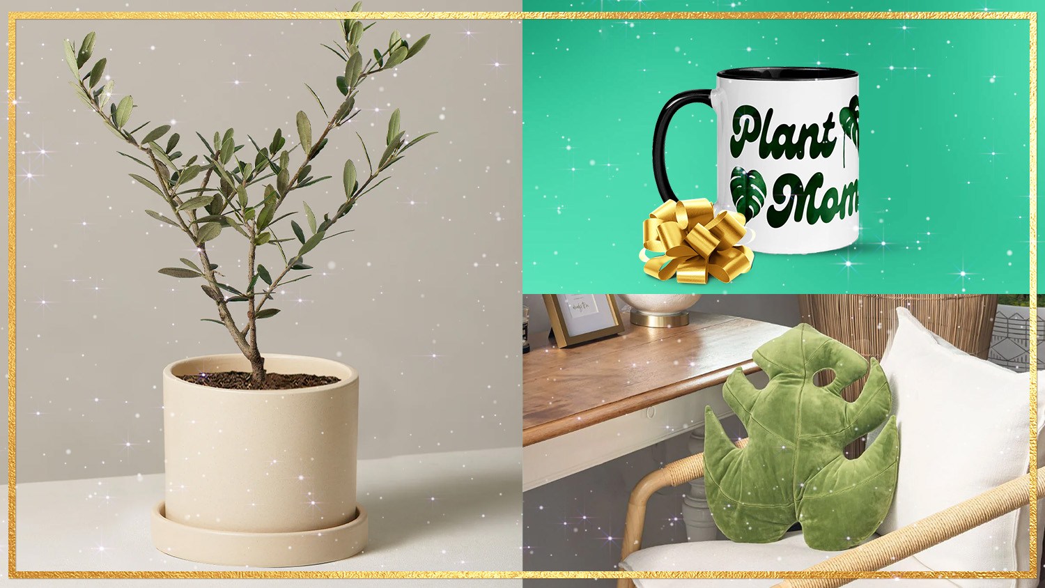 The ultimate plant parent gift guide