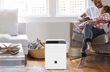 Which dehumidifier is best for basements?