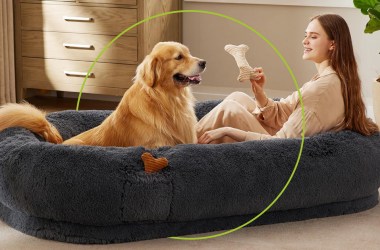 Yes, you absolutely need a human dog bed