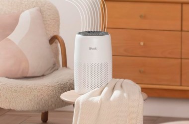This air purifier has 10K 5-star reviews on Amazon and is less than $50