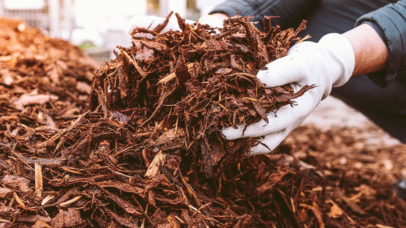 First time mulching in the fall? Here’s what you need to know