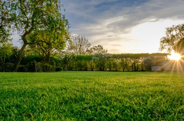 10 mosquito repellents that actually work