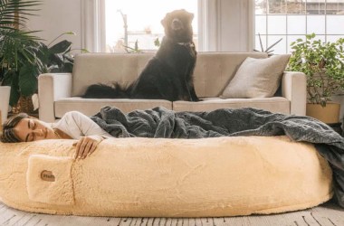 Yes, you absolutely need a human dog bed