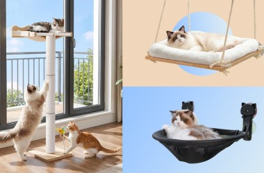 Be a good human and buy your cat a window perch