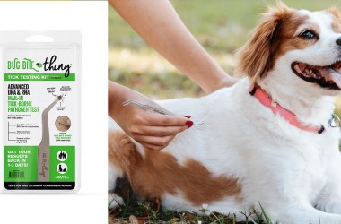 The Bug Bite Thing just launched a tick testing service
