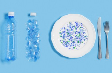 5 easy ways to avoid consuming microplastics