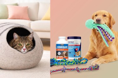 National Pet Day 2026: The 15 best deals we could find