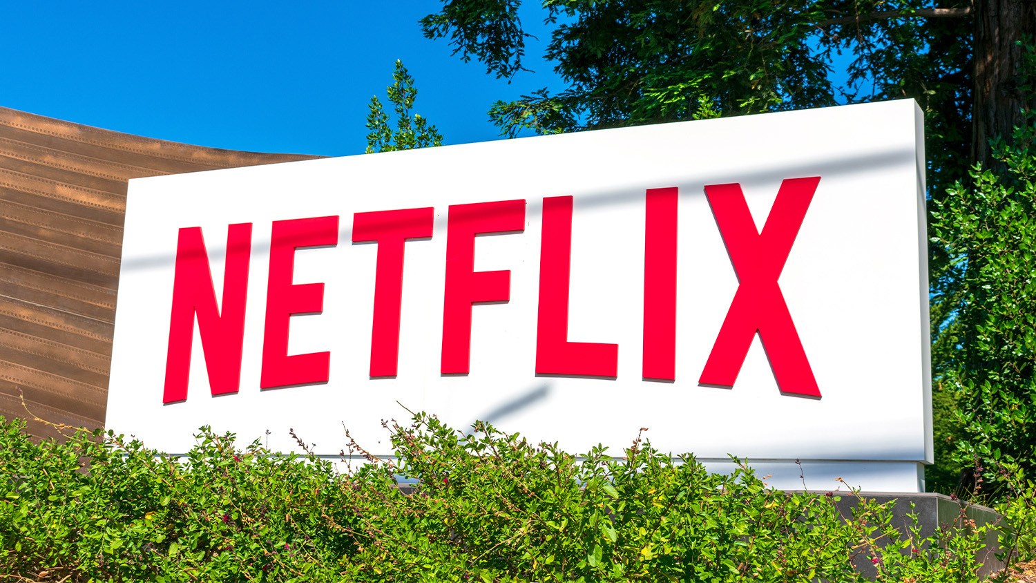 Netflix plans to open brickandmortar locations in 2025