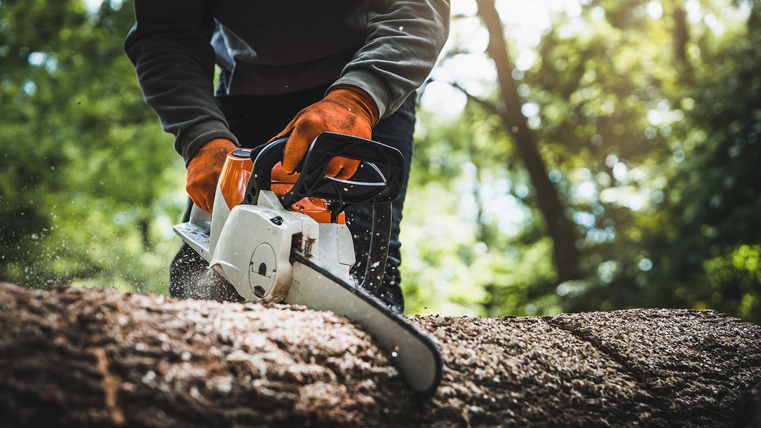 Stihl vs. Husqvarna chainsaws Which is best?