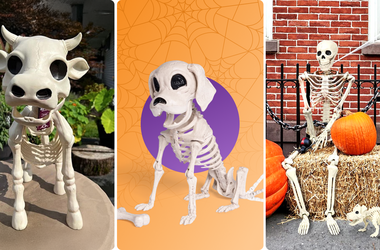 Pro-tip: Get your Halloween skeletons early while they’re still on sale