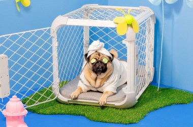 This dog crate doubles as a playpen and is perfect for travel