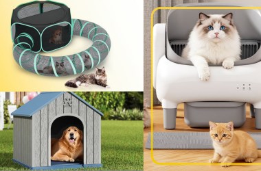 Pet products rule Walmart’s Flash Deals this week