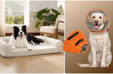 Pet products rule Walmart’s Flash Deals this week