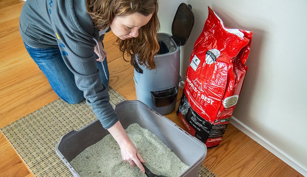 4 Best Cat Litter Aug. 2021 BestReviews