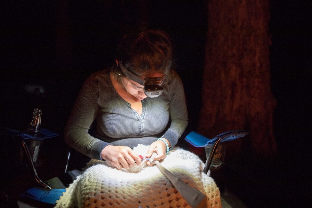 5 Best Headlamps Apr. 2021 BestReviews