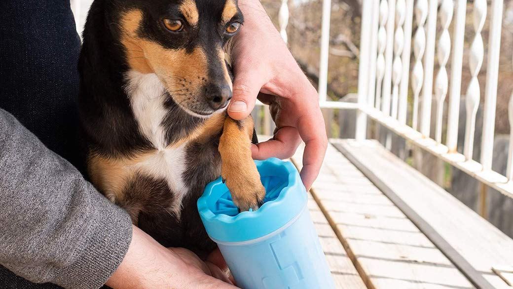 5 Best Dog Paw Cleaners Aug. 2021 BestReviews