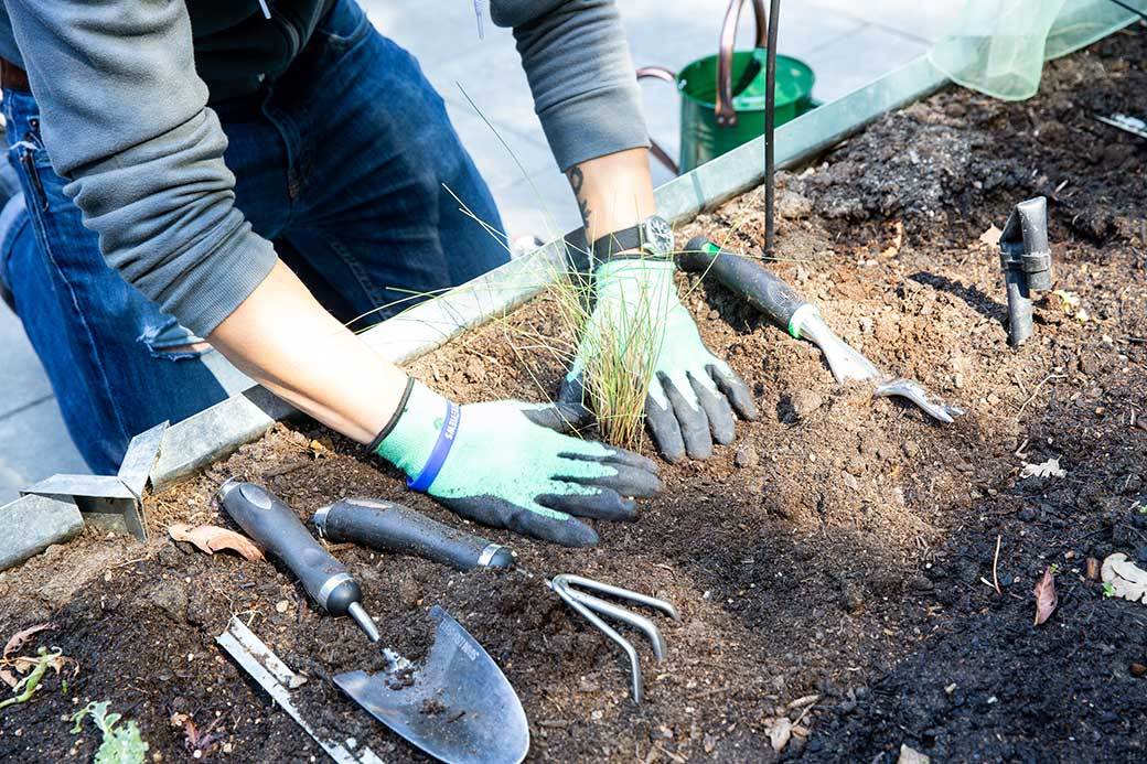 5 Best Bulb Planters June 2021 BestReviews