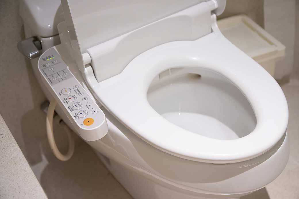5 Best Heated Toilet Seats June 2021 BestReviews